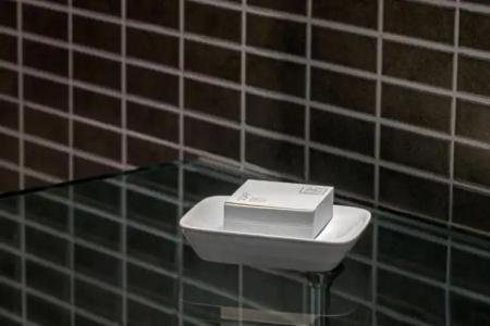 Ac Pisa By Marriott - 26