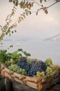 Albergo 'La Vigna' - 8