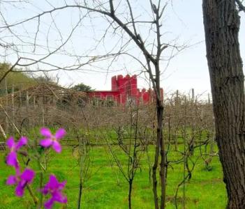 Albergo 'La Vigna' - 14