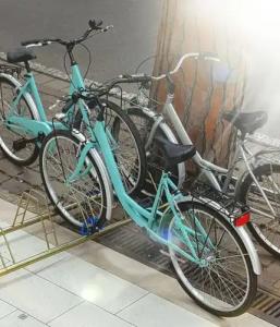 Calypso- Rimini Marina Centro - 16