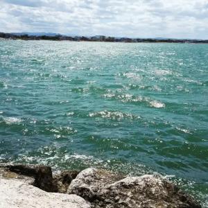 Calypso- Rimini Marina Centro - 17