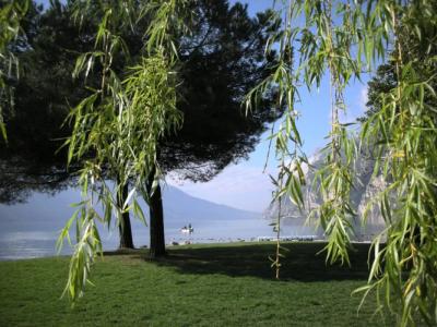 Albergo Alle Porte - 17