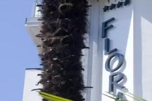 Parc Hotel Flora