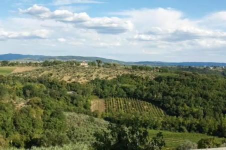 Villa Il Fedino - 24