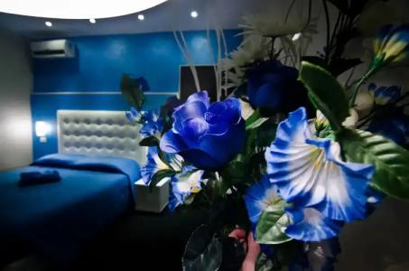 Londrino Sanremo - 8