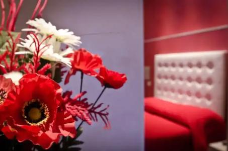 Londrino Sanremo - 36