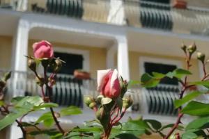 Hotel «Miranda», Варацце