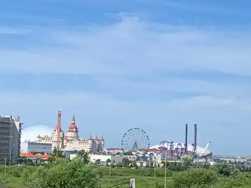 Кукуруза - 19