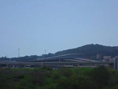 Кукуруза - 22