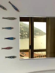 Vietri Coast - 60