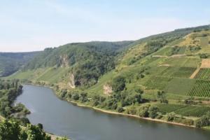 Гостевой дом «Weingut-Brennerei-Gästehaus Emil Dauns», Райль
