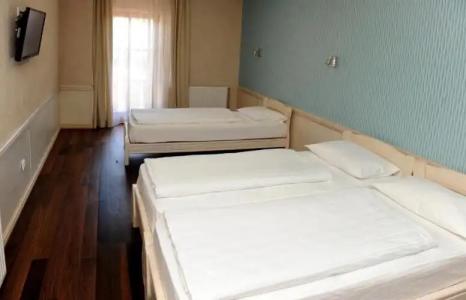 Centar Balasevic - 37