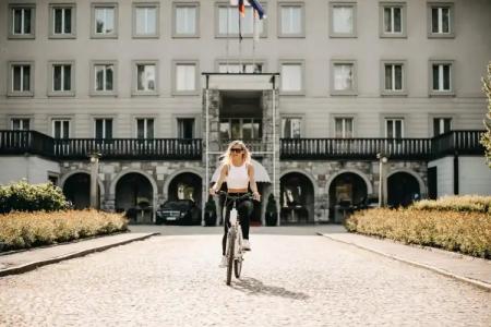 Vila Bled - 22