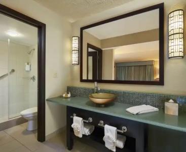 DoubleTree by Hilton Orlando at SeaWorld - 109