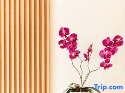 The Golden Ville Boutique and Spa - 126