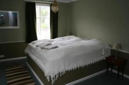 The Old Apothecary - 0