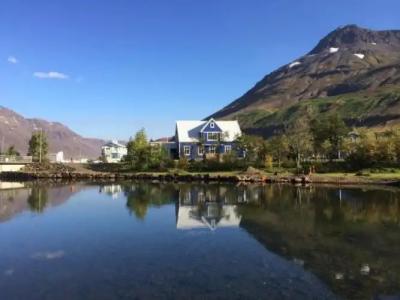 The Old Apothecary - 7