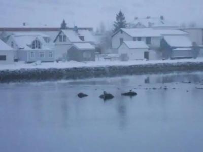 The Old Apothecary - 8