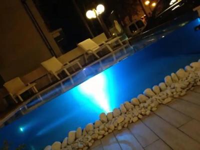 Kristalex Pet Family - 9