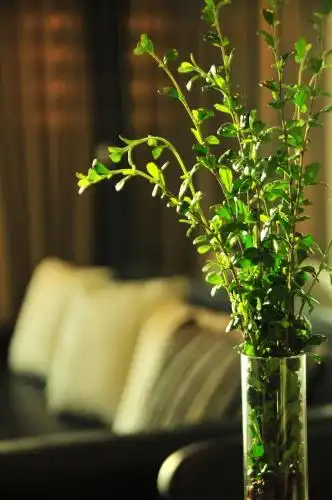 The Baycliff Residences - 16