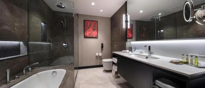 Hilton Istanbul Maslak - 102