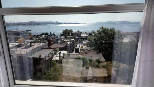 Cosmopolitan Park - 28