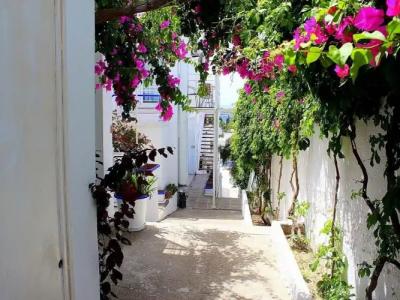 Sky Vela & Suites - All Inclusive - 84