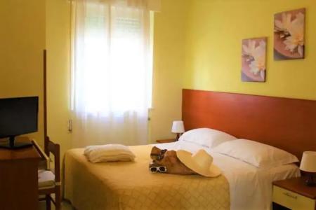 Panoramico - 26
