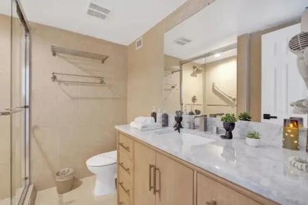 The Alexander All Suites - 478