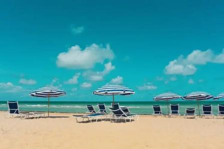 The Alexander All Suites - 21