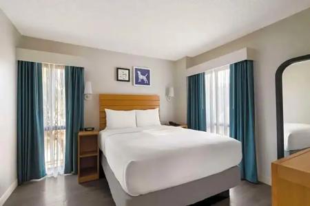 Sonesta ES Suites Orlando International Drive - 115