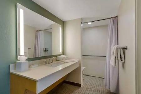 Sonesta ES Suites Orlando International Drive - 110