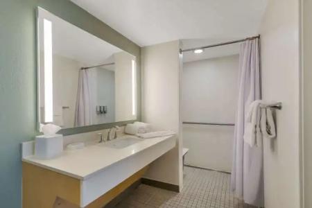 Sonesta ES Suites Orlando International Drive - 85