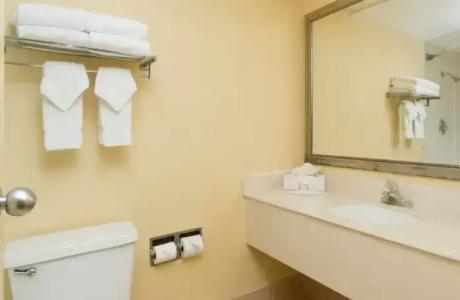 Ramada Plaza Resort & Suites By Wyndham Orlando International Drive - 54