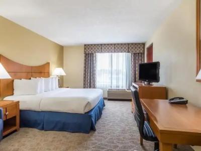 Wingate by Wyndham - Universal Studios and Convention Center - 28