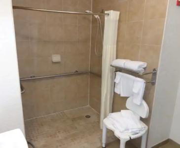 Country Inn & Suites by Radisson, Orlando-Lake Buena Vista, FL - 66