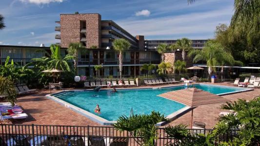 Rosen Inn International Near The Parks - 15