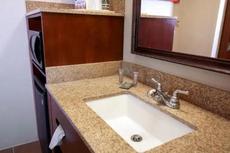 Rosen Inn International Near The Parks - 48