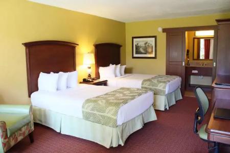 Rosen Inn International Near The Parks - 2