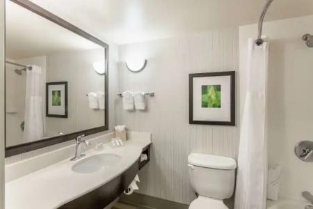 Hilton Garden Inn Orlando at SeaWorld - 9