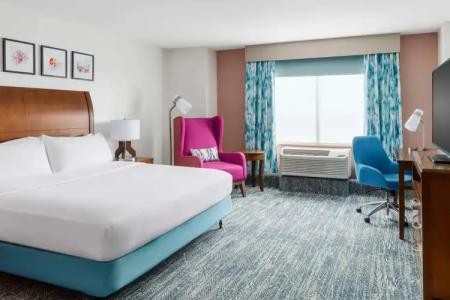 Hilton Garden Inn Orlando at SeaWorld - 7