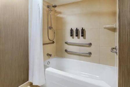 Sheraton Atlanta - 9