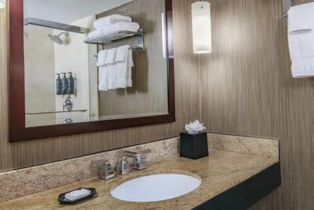 Sheraton Atlanta - 8