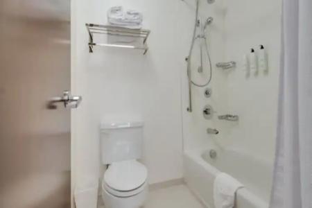 SpringHill Suites by Marriott Dallas NW Highway at Stemmons / I-35East - 7