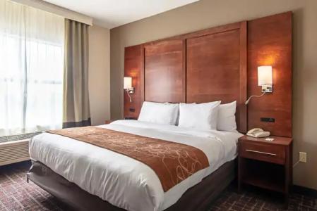 Comfort Suites Nw Dallas Near Love Field - 2