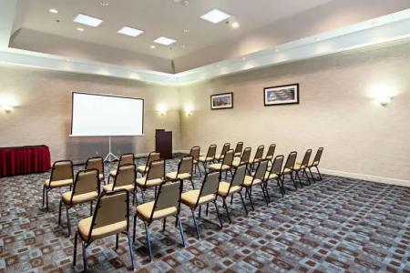 Comfort Suites Nw Dallas Near Love Field - 18