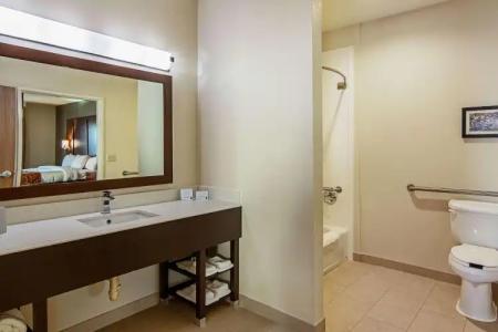 Comfort Suites Nw Dallas Near Love Field - 9