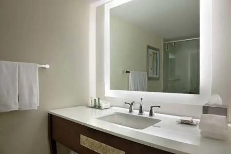 Hilton Miami Airport Blue Lagoon - 69