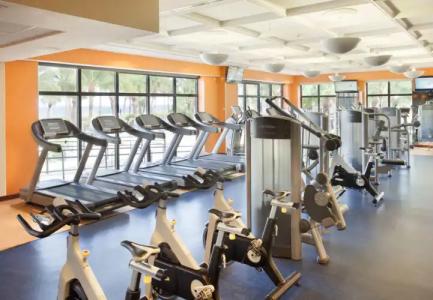 Fort Lauderdale Marriott Harbor Beach Resort & Spa - 16