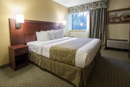Rodeway Inn & Suites Fort Lauderdale Airport & Cruise Port - 2